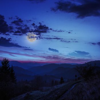  mountain steep slope with coniferous forest in moon light