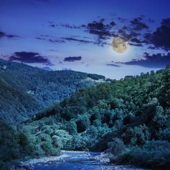 wild river flowing between green mountains in moon light