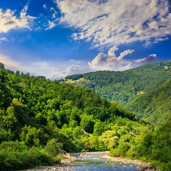 wild river flowing between green mountains on a clear summer day