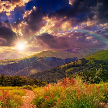 mountain summer landscape with rainbow. pine trees near meadow and forest on hillside under  sky with clouds at sunset