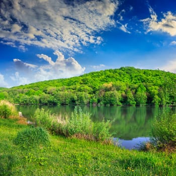 view on lake near the pine forest early in the morning on mountain background