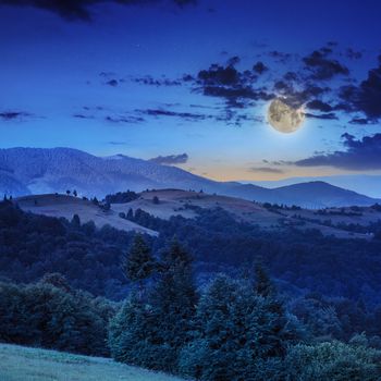  mountain steep slope with coniferous forest at night in moon light