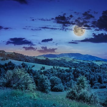 mountain summer landscape. pine trees near meadow and forest on hillside under  sky with clouds at night in moon light