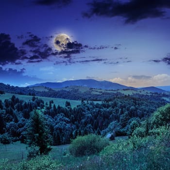 mountain summer landscape. pine trees near meadow and forest on hillside under  sky with clouds at night in moon light