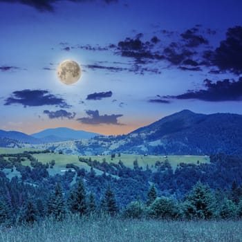 mountain summer landscape. pine trees near meadow and forest on hillside under  sky with clouds at night in moon light