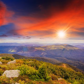 mountain landscape. valley with stones on the hillside. forest on the mountain under the sunset light falls on a clearing at the top of the hil.