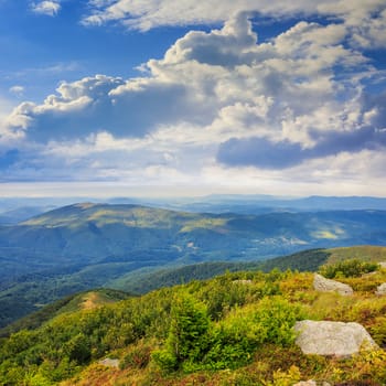 mountain landscape. valley with stones on the hillside. forest on the mountain under the beam of light falls on a clearing at the top of the hill.