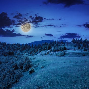 mountain summer landscape. pine trees near meadow and forest on hillside under  sky with clouds