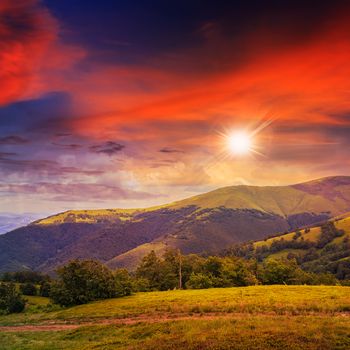  mountain steep slope with coniferous forest at sunset