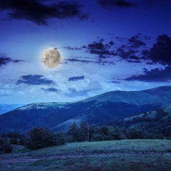  mountain steep slope with coniferous forest at night in moon light