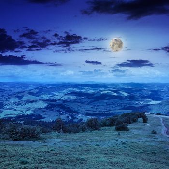  mountain steep slope with coniferous forest at night in moon light