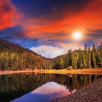 view on lake near the pine forest late in evening on mountain background at sunset