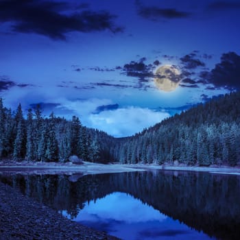 view on lake near the pine forest late midnight on mountain background in moon light