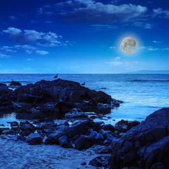 few seagulls sit on big  boulders on sandy beach near the sea watching waves at night in moon light