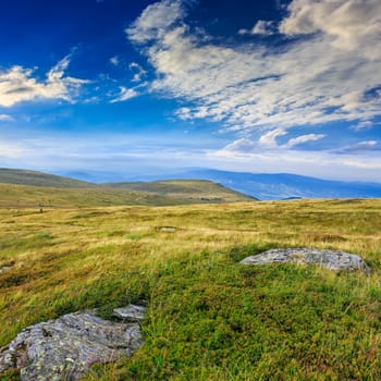 mountain landscape. valley with stones on the hillside. forest on the mountain under the beam of light falls on a clearing at the top of the hill.