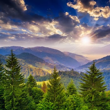 mountain landscape pine trees near valley and colorful forest on hillside under blue sky with clouds and fog at sunset