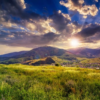 mountain summer landscape. pine trees near meadow and forest on hillside under  sky with clouds at sunset