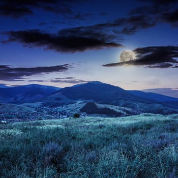 mountain summer landscape. pine trees near meadow and forest on hillside under  sky with clouds at night