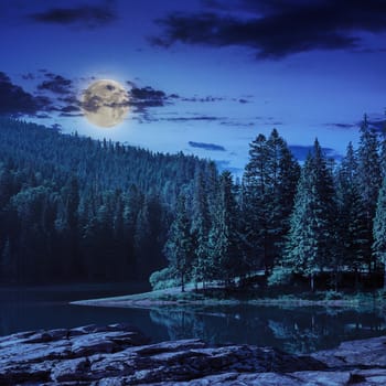 view on lake near the pine forest at night on mountain background 