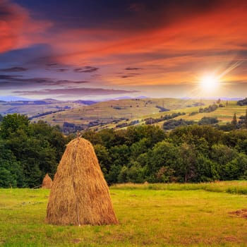 a pair of haystacks and a tree on a green meadow at the foot of the mountain at sunset