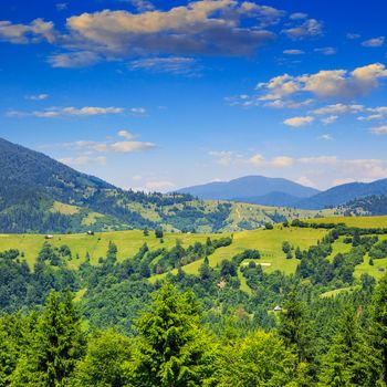 slope of mountain range with coniferous forest and village