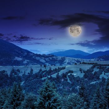 slope of mountain range with coniferous forest and village at night in moon light