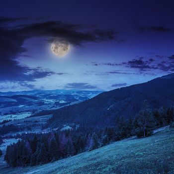  mountain steep slope with coniferous forest at night