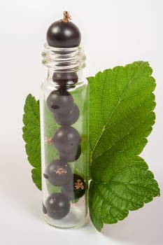 natural cosmetics concept  made black currant  on white background with green leafs