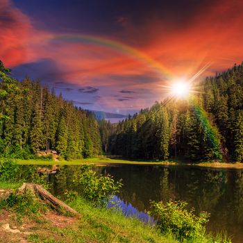 view on lake with rainbow near the pine forest  on mountain background at sunset