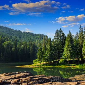 view on lake near the pine forest early in the morning on mountain background