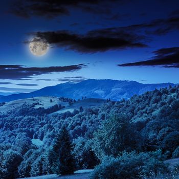 mountain summer landscape. pine tree near meadow and forest on hillside under  sky with clouds at night in moon light