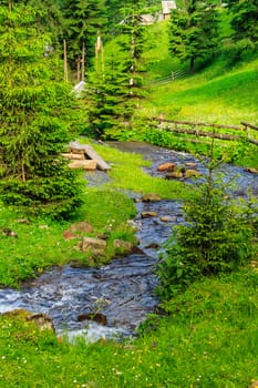 narrow stream with rocks and green lawn on both sides of the forest