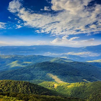 slope of mountain range with coniferous forest and road