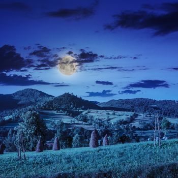 Stack of hay on a green meadow in the mountains in the morning under a blue summer sky at night in moon light