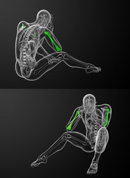 3d rendering medical illustration of the humerus bone