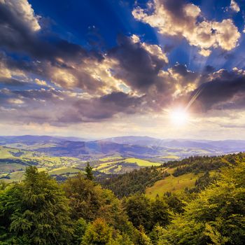 slope of mountain range with coniferous forest and village at sunset