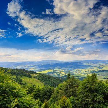 slope of mountain range with coniferous forest and village