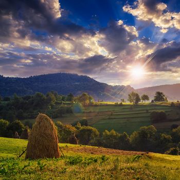 Stack of hay on a green meadow in the mountains in the morning under a blue summer sky at sunset