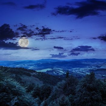 slope of mountain range with coniferous forest and village at night in moon light