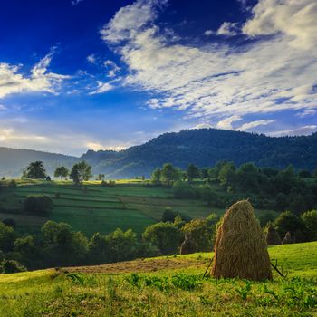 Stack of hay on a green meadow in the mountains in the morning under a blue summer sky