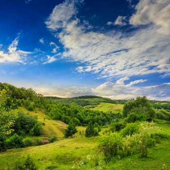 mountain summer landscape. trees near meadow and forest on hillside under  sky with clouds