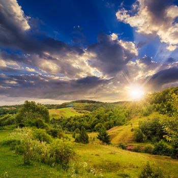 mountain summer landscape. pine trees near meadow and forest on hillside under  sky with clouds at sunset