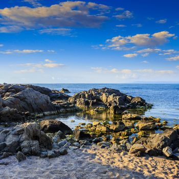 sea coast with boulders sand and seaweed in the morning