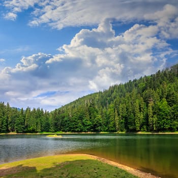 view on lake near the pine forest early in the morning on mountain background