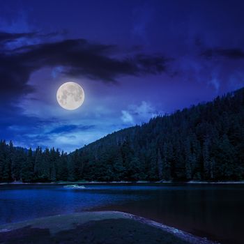 view on lake near the pine forest  on mountain background at night in moon light
