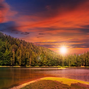 view on lake near the pine forest on mountain background at red sunset