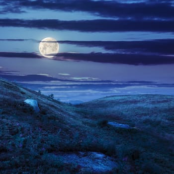 mountain landscape. valley with stones on the hillside. forest on the mountain. at night in moon light