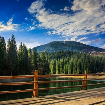 view from pier on lake near the pine forest on mountain background