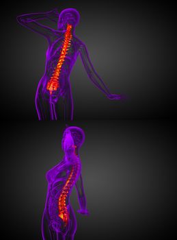 3d rendering medical illustration of the human spine 