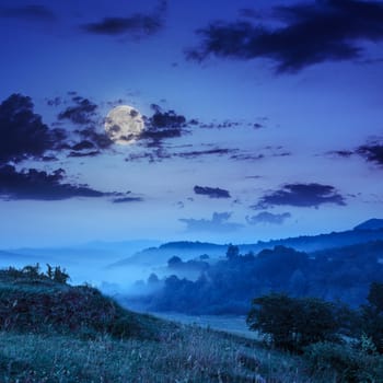 cold morning fog with in the mountains at night in moon light